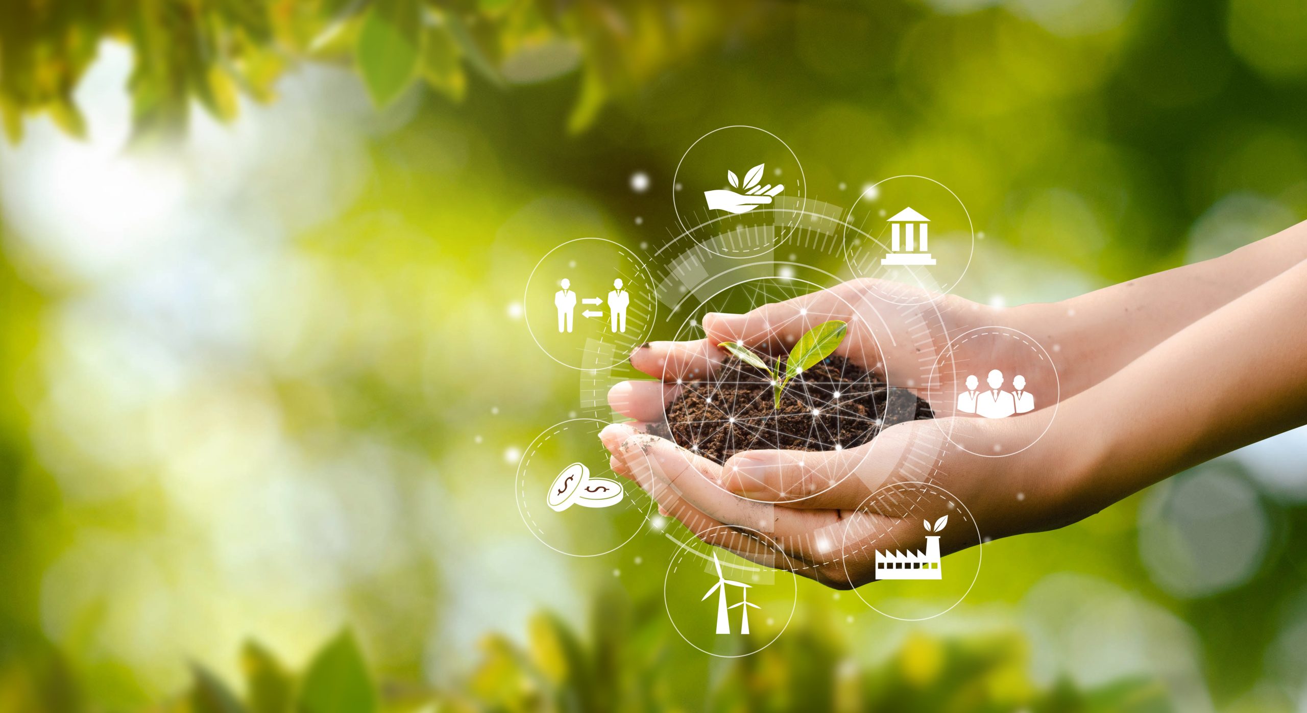 Hand,Planting,Trees,With,Technology,Of,Renewable,Resources,To,Reduce Hand,Planting,Trees,With,Technology,Of,Renewable,Resources,To,Reduce